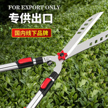 �@ˇ������@���޻���֦����ľ�����޲�ƺ�G�h�����޼���֦����