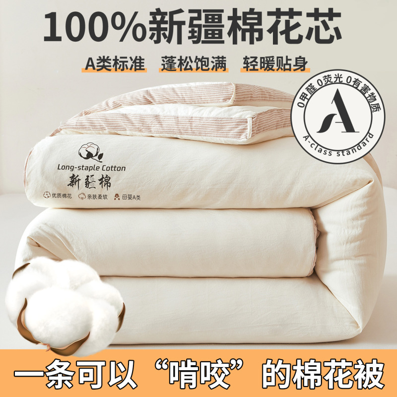 A类母婴级100%新疆棉花被春秋被加厚冬被夏凉被全棉学生宿舍被芯|undefined