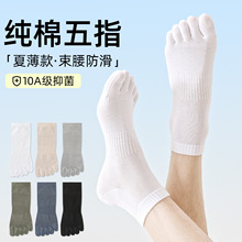 ������ָ�����д��ı���10A������������͸������������ֺ�����