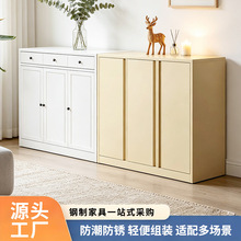 定制客厅阳台收纳柜家用餐边柜入户玄关柜多功能置物柜铁皮柜