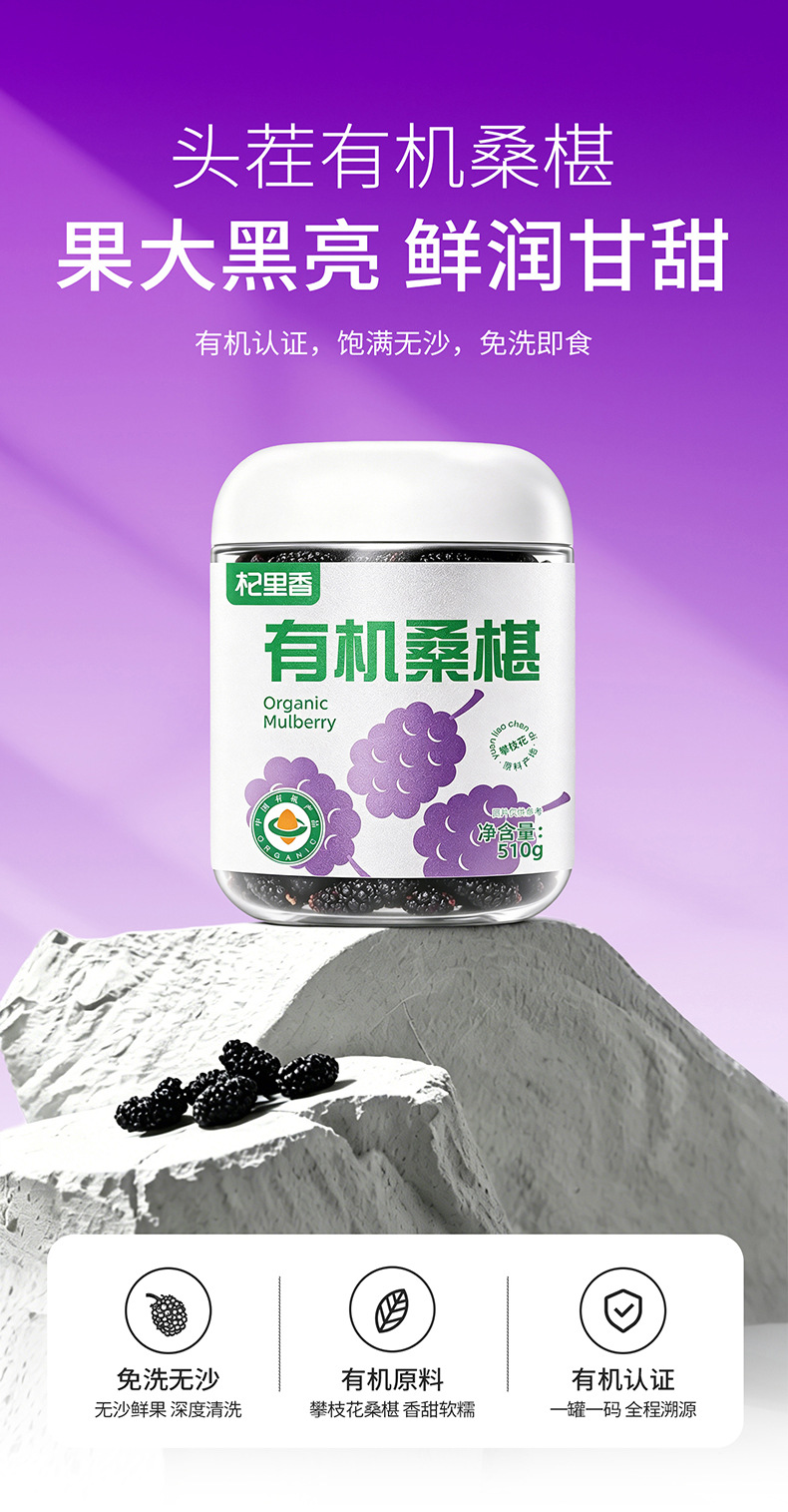 Organic Dried Mulberry Fruit 510g Round Jar Panzhihua Sang Shen Dried Mulberries for Tea and Wine overview