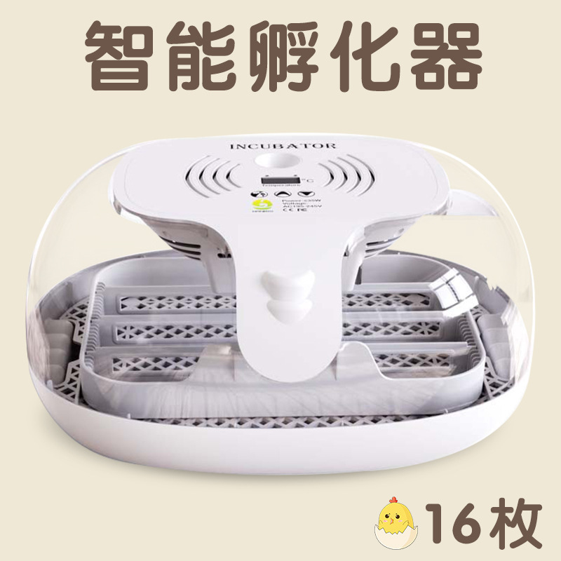 新型国境を越えたアマゾン全自動小型知能電気家庭用鶏鴨ガチョウ恒温孵化器孵化器|undefined