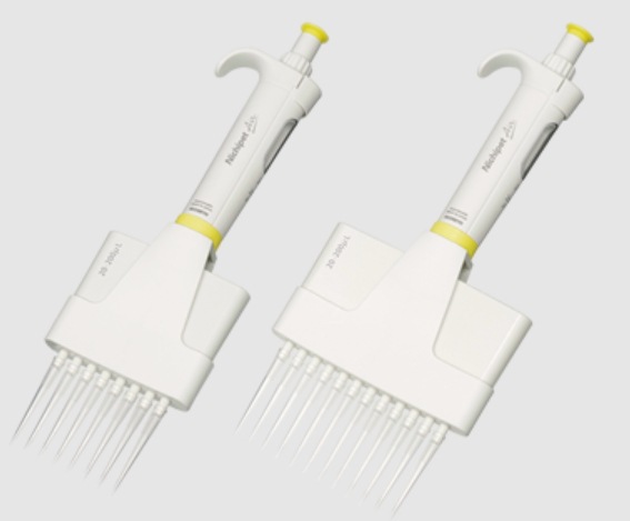 微信截图_20241113094249