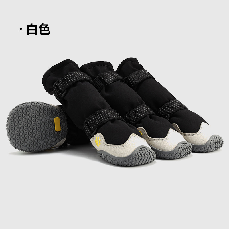 中文 (8)