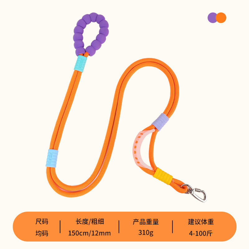 과일 오렌지