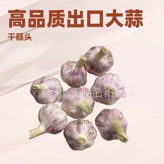 定制出口紫红皮太空大蒜，出口大蒜头，加工出口大蒜包装，蒜