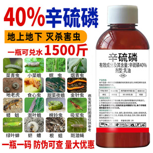 40%������ϓ���ϻ�����x���������º��x�������xș���͚��x��