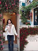 õ�廨���ٻ����������̈��T�ꙻ���쾰�b�Y�F��