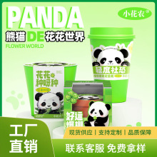 小花农桌面盆栽厂家批发熊猫种植系列创意礼品趣味办公桌绿植