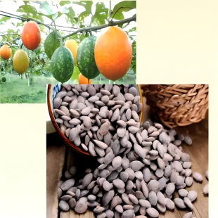 ������ ���V�N�� �컨����ǵ��ϝ�����̵��ș��Ұ���ǹ��V�ϷN��