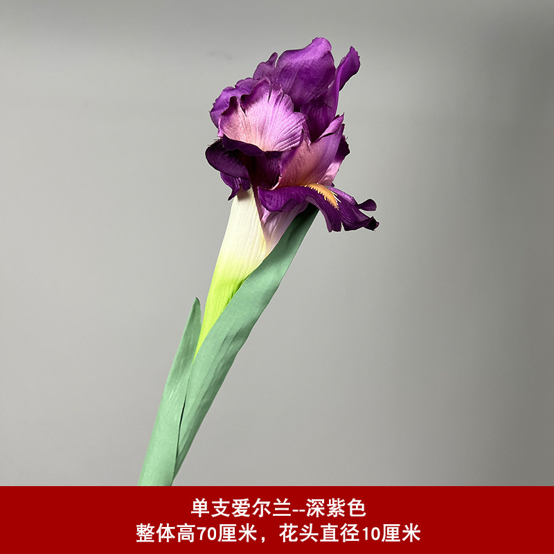 진한 보라색