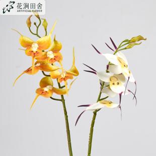 ����5�^�����m���滨 pu�����m�ҾӸߙn�[�Ż�ˇ�ٻ��b����m��