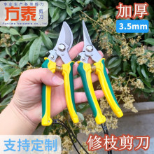 ӺƷ|pɫ֦֦@ˇ@ֹ𹤾l