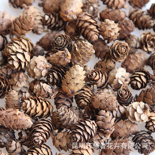 �����ߡ����~�ɻ�����С�ɹ�����޹ƿϞ�T��Ȼֲ��diy�ֹ��b�