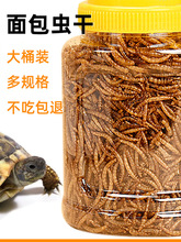 С�������ͨ�����A�����Z�~���r������x�������������w�����üZ