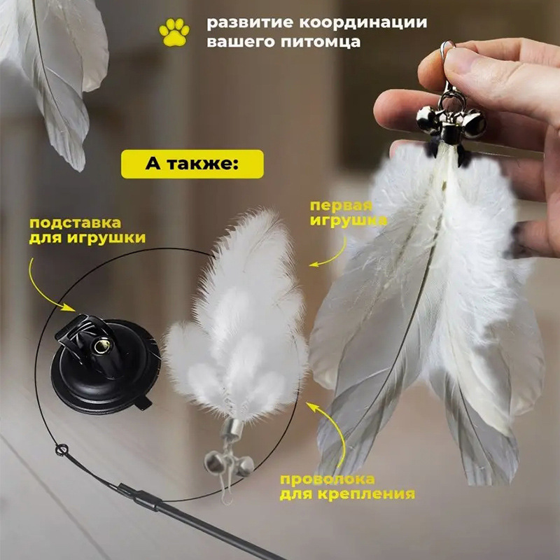 微信图片_20241127144243