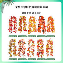 �羳��ɫ�������~ ���R�d�ж����Ҿӱڒ��b�����~�ٗl