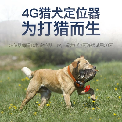 hound GPS tracking locator, GPS Locator