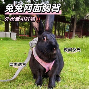 ���Ӡ����K����Ó������Ì����������{���K�ӱ���ʽ٪�尲������