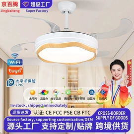 风扇灯;吸顶灯;成套灯具