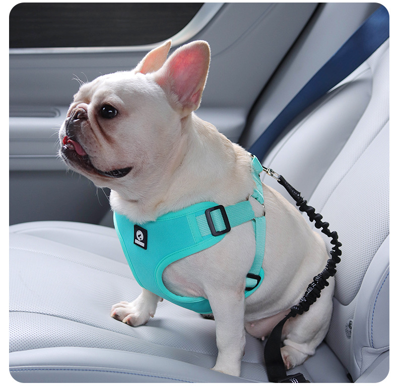 Bequemer Anti-rutsch-sicherheitsgurt Für Hunde Im Auto_voghion.com