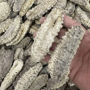 �״̅� ������̅� �ڴ�Ħ���̶d�� Ұ��������؛���l6-20�^