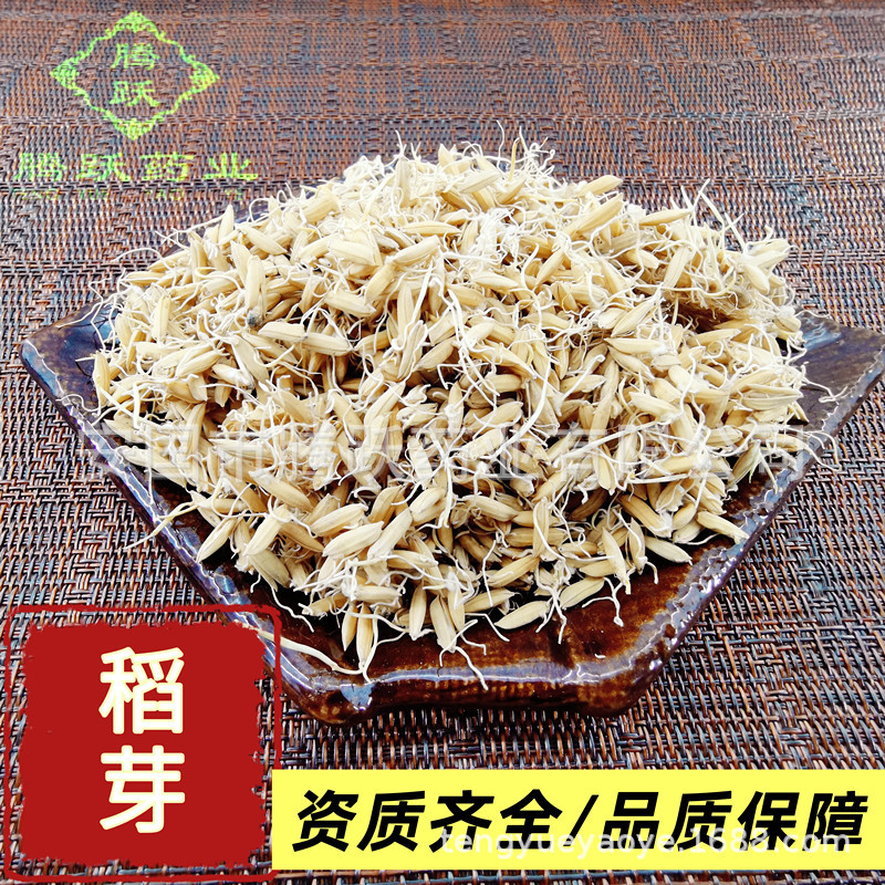 Dried Rice Sprout Dao Ya 谷芽 Raw Herb for Decoctions and Herbal Teas 1kg Bag key features