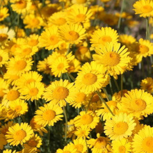 �չ�շN�Ӷ������ݱ�����������Ϟ�շN�ݾջ��̨�����ļ��ײ��N