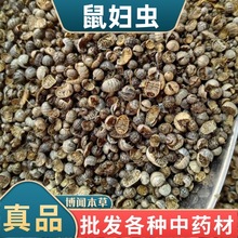 ��D�x��ș�� ��؛���x �����x �F���x ��ʭ�� ��ʭ�� �����x���l