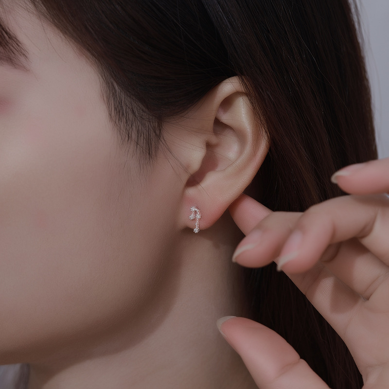 6g Weight Earrings Event & Party Supplies Rhinestones Inlay Material Ear Studs Classification 1 Pair Quantity Holiday Occasion 925 Sterling Silver Material Constellation Pattern Women'S Gender Fashion Style 1 Pair 925 Sterling Silver Rhinestones Constellation Ear Studs 9