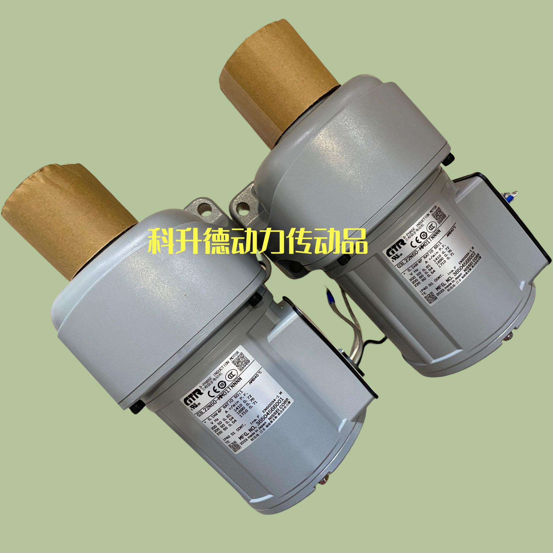 G3L40N50-MC15TVJTN 日静减速机 GTR株式会社NISSEI日精马达 电机