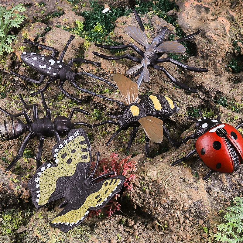 Cognitive animal model with butterfly, spider, praying mantis, bee
