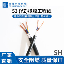 ���� ���˶�о���z�o�׾�53(YZ) 60���͜���ĥ�p ���ð��b��늾�