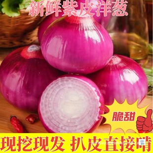 ˮ�����[��ζ�������r��Ƥ���[9�����[�^С�A�[ë�[�t���[ȫ��