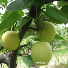 �ӱ��w�h�ʹ������l����Ƥ���׃��ڸд����������gӭُ�I