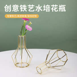 轻奢金色铁艺水培花瓶高透玻璃试管花器桌面装饰品摆件工艺品摆设