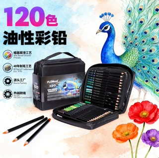 FLOWOOD源头工厂120专业美术彩铅跨境电商教培机器专供/手提袋版