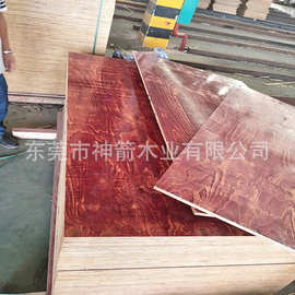 木模板清水混凝土木垫板建筑模板工地支模木板红板竹胶板工地用