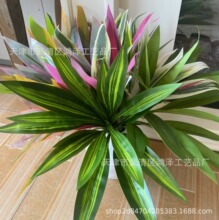 �������ľ��Ѫ���콶�Gֲ���҃��쾰��ײ������P��ˇ�b�