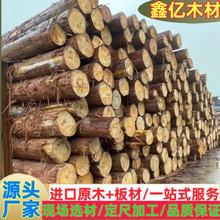 日本桧木 原木直拼板材 日本香柏木扁柏 白桧烘干板材 桧木指接板