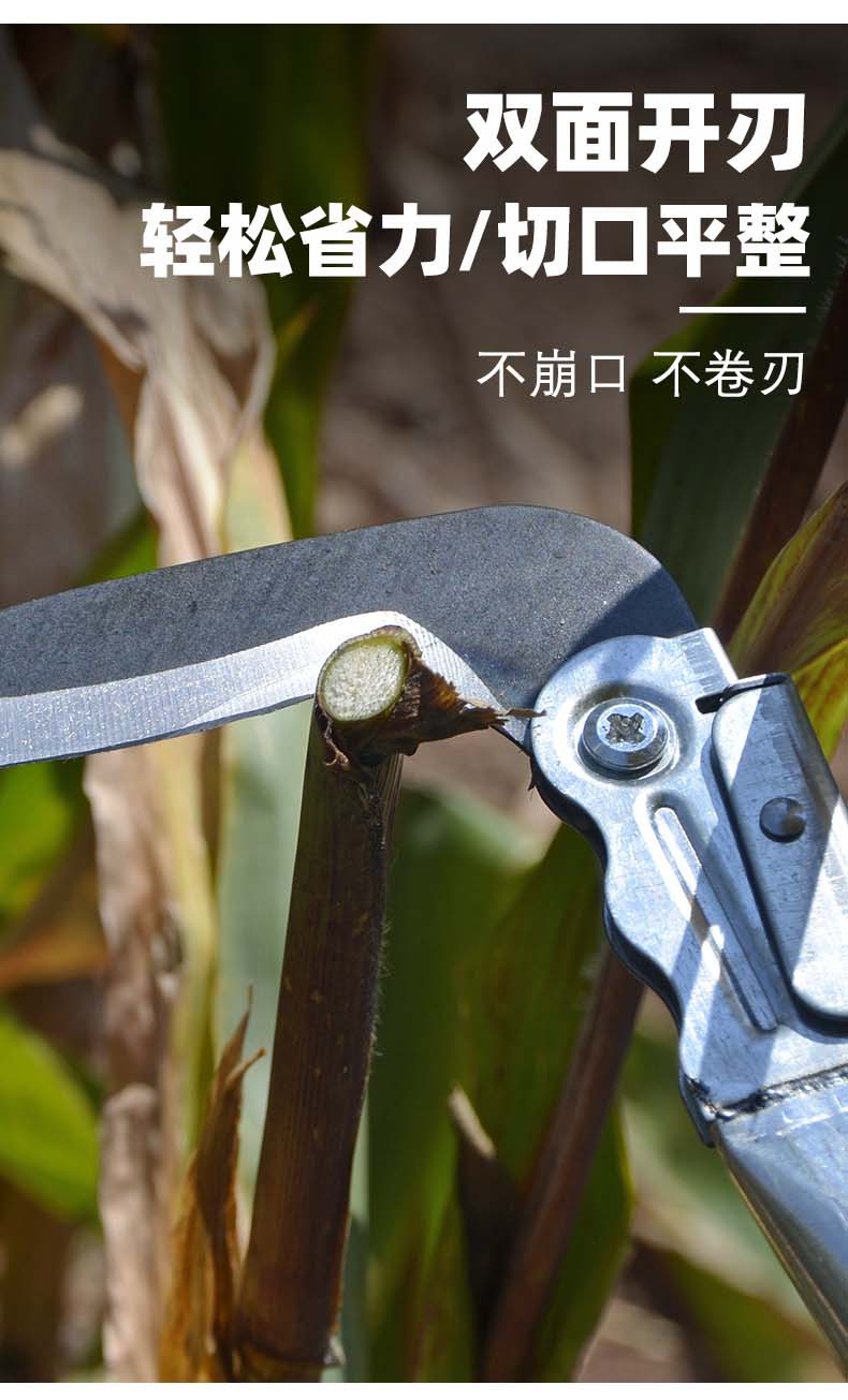 详情3