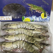 �ڻ��r���r���r�߹����r�Ź��r���r���8ֻ10ֻ15ֻ20ֻ 2��1��