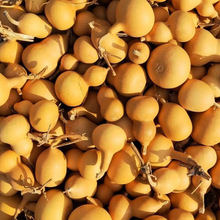 Y���J�؃r����������С���J��Ʒ���lС���ְѼ���Ȼ���J�������L