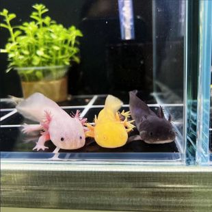 ��������ǿ����~ϔ��^�p�~��ˮ��ˮ�~С���~�����~����