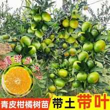 ������ֱ�l����Ƥ���٘����Ϸ������~�����ӹ������ڼ޽Ӹ߮a����