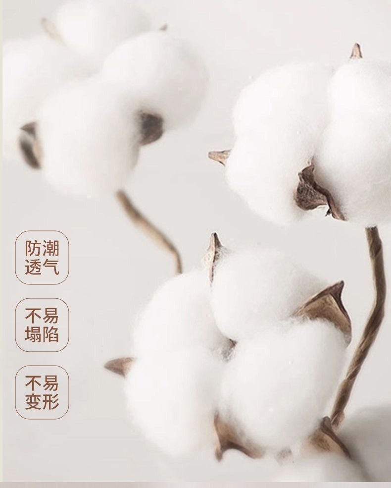 1ce832e1-15d3-4d5c-8d48-9dc9c5b7507e.jpe