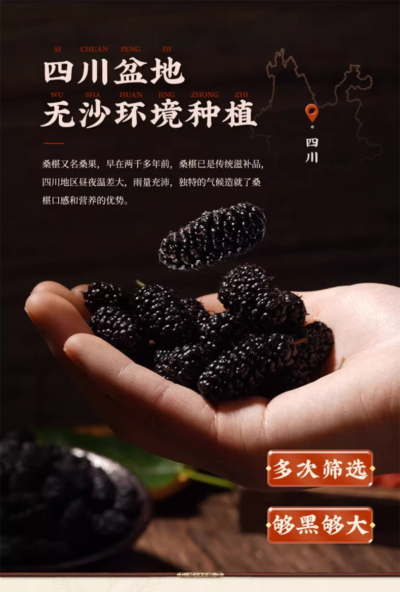 Dried Mulberry Fruit Sang Shen Zi 500g Washed Seedless Herbal Tea and Wine Ingredient in use