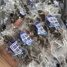 高端底播大连即食海参辽刺参鲜食劲道海参礼盒顺丰发货工厂批发