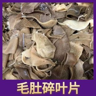 ë�����~Ƭ��ë�����r�����ڰ�����ţ���~ţ��ǧ�Ӷǻ��ʳ��ð��