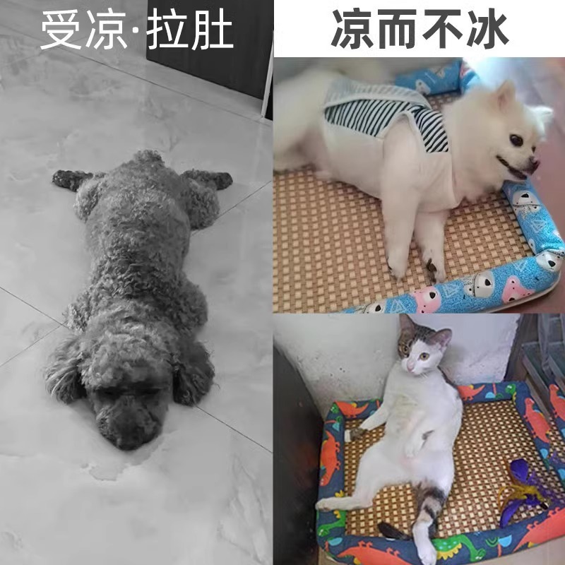 Alfombrilla de verano para mascotas Alfombra de hielo transpirable para perros y gatos Alfombra de hielo transpirable Four Seasons Cazada para perros Cazada para gatos Productos para mascotas